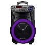 Автономна акустична система TMG GT-6022 (1MIC+MP3+USB+FM+BT)