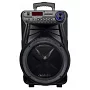 Автономна акустична система TMG GT-6022 (1MIC+MP3+USB+FM+BT)