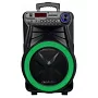 Автономна акустична система TMG GT-6022 (1MIC+MP3+USB+FM+BT)