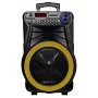 Автономна акустична система TMG GT-6022 (1MIC+MP3+USB+FM+BT)