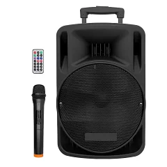 Автономна акустична система TMG BT100D (1MIC + MP3 + USB + FM + BT)