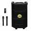 Автономная акустическая система TMG ZXX-6666 (2MIC+MP3+USB+FM+BT)
