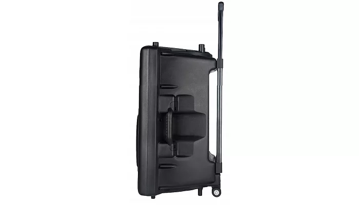 Автономна акустична система TMG BT15A (2MIC+USB+MP3+FM+BT), фото № 3