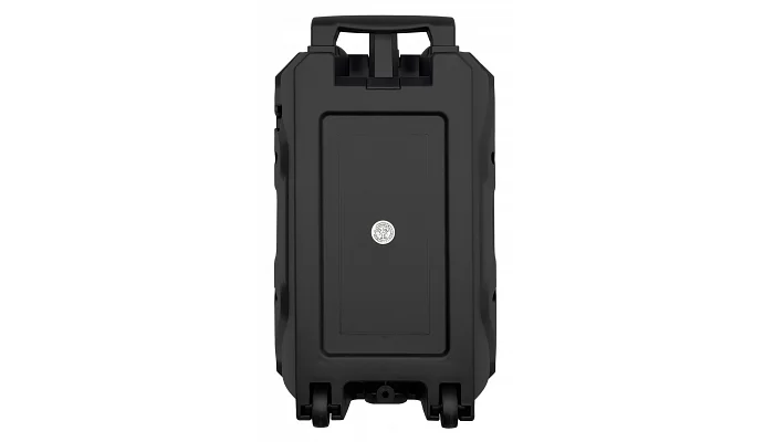 Автономна акустична система TMG QS2808 (BT + 1MIC + USB + FM), фото № 5