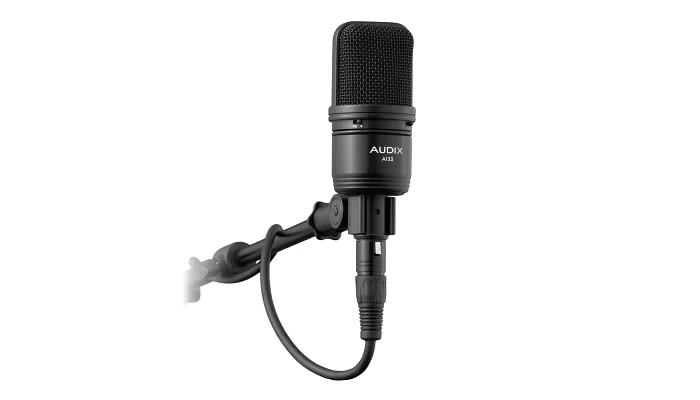 Студійний мікрофон AUDIX A133, фото № 2