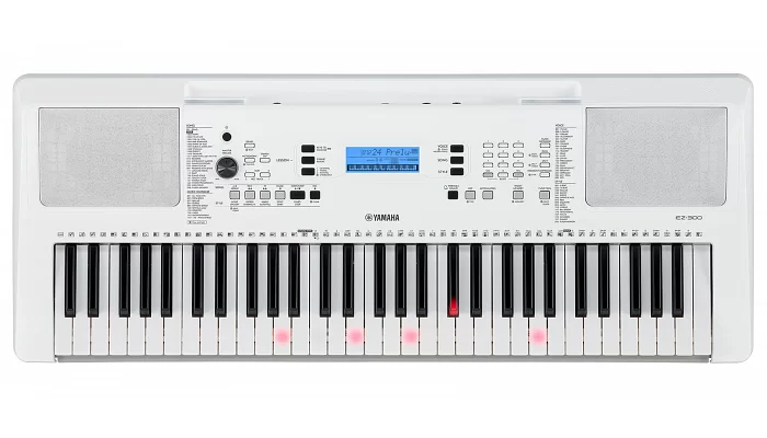 Синтезатор с подсветкой клавиатуры YAMAHA EZ-300, фото № 1