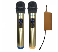 Портативна радіосистема з двома ручними мікрофонами EMCORE SM 820A