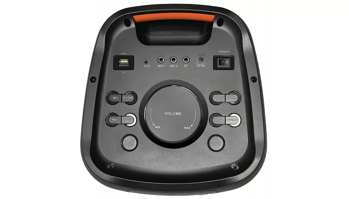 Автономная акустическая система TMG ORIGINAL FG208-09 (BT+USB+MP3), фото № 3