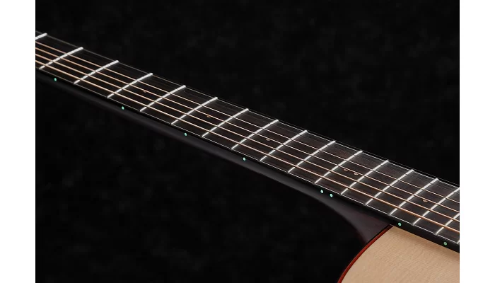 Электроакустическая гитара IBANEZ AAD300CE LGS, фото № 8