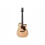 Електроакустична гітара IBANEZ AAD170CE LGS