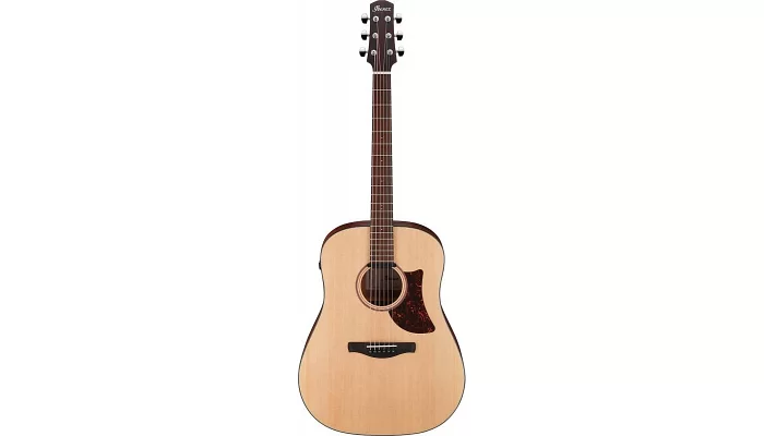 Електроакустична гітара IBANEZ AAD100E, фото № 1