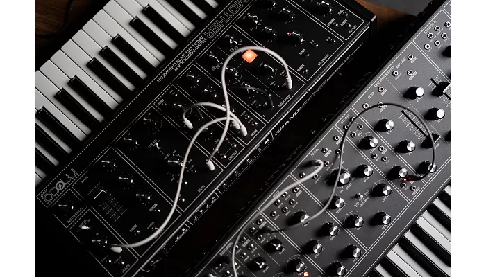 Аналоговий синтезатор MOOG GRANDMOTHER DARK, фото № 6
