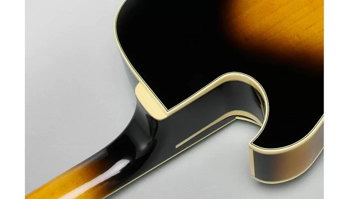 Полуакустическая гитара IBANEZ LGB300 VYS, фото № 9