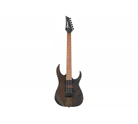 Електрогітара IBANEZ RGRT421-WNF