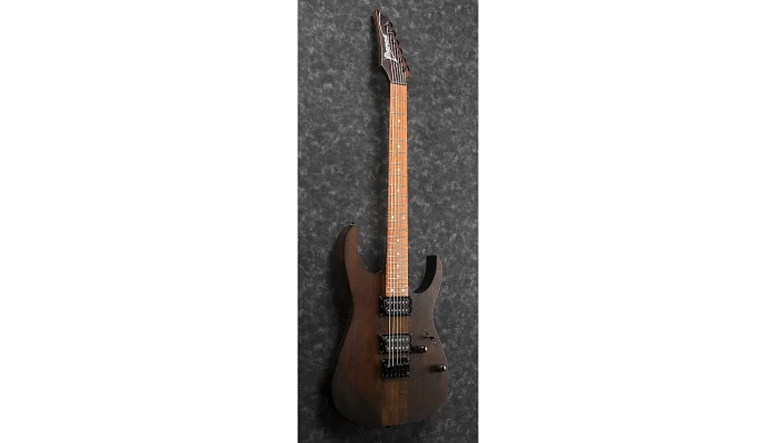 Електрогітара IBANEZ RGRT421-WNF, фото № 2