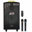 Автономна акустична система TMG QX-1214 (2MIC+MP3+USB+FM+BT)