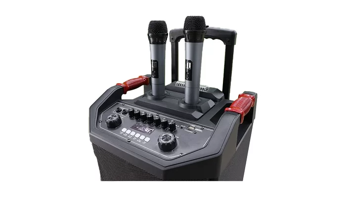 Автономная акустическая система TMG ORIGINAL ZXX-7788 (2MIC+MP3+USB+FM+BT), фото № 4