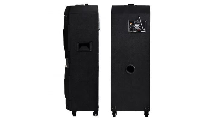 Автономна акустична система TMG BM100 (1MIC+MP3+USB+BT), фото № 2