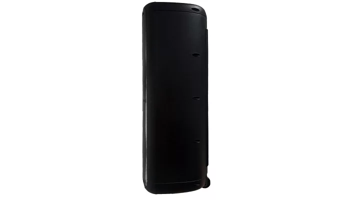 Автономна акустична система TMG GT-5070 (2MIC+MP3+USB+FM+BT), фото № 4