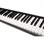MIDI-клавиатура Icon iKeyboard 5X