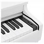 Цифрове фортепіано Kawai CN29 WH