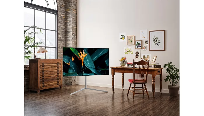 ТБ 65" OLED 4K LG OLED65G16LA Smart, WebOS, Silver, фото № 4
