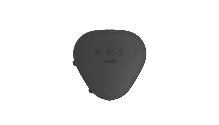Портативная акустическая система Sonos Roam, Black, фото № 9