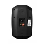 Всепогодна настінна акустична система DV audio MS-5.2T IP Black