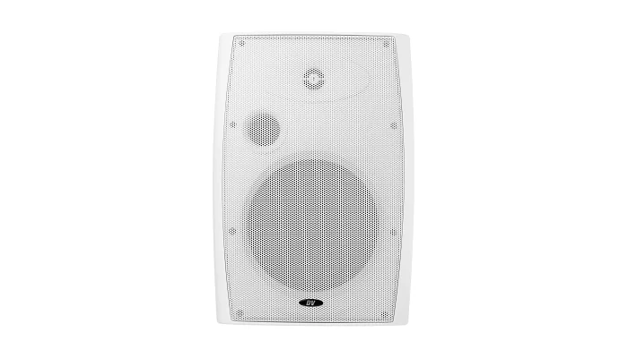 Всепогодная настенная акустическая система DV audio PB-8.2T IP White, фото № 2