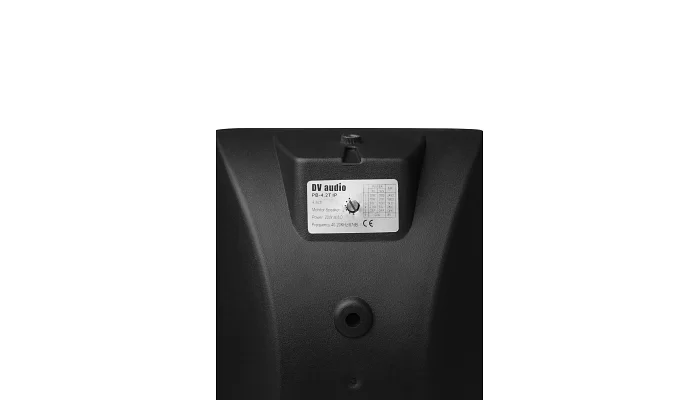 Всепогодная настенная акустическая система DV audio PB-4.2T IP Black, фото № 4