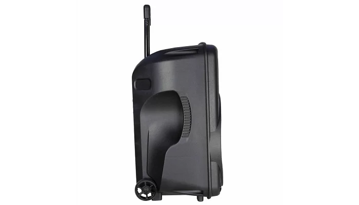 Автономна акустична система BIG300 USB/MP3/FM/BT/TWS + 2pcs VHF mic, фото № 3