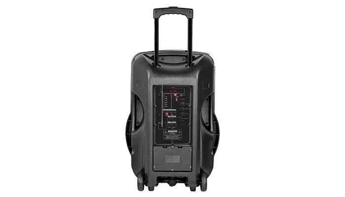 Автономная акустическая система BIG300 USB/MP3/FM/BT/TWS + 2pcs VHF mic, фото № 5