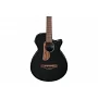 Акустична бас-гітара IBANEZ AEGB24E-BKH