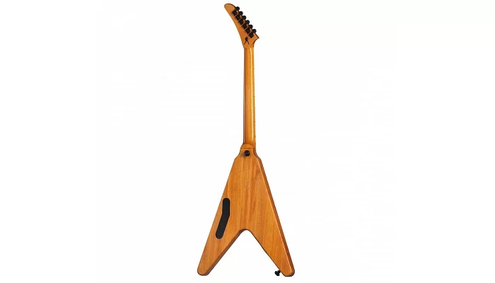 Електрогітара GIBSON DAVE MUSTAINE FLYING V EXP ANTIQUE NATURAL, фото № 2