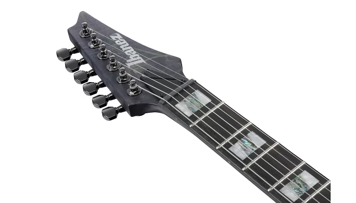 Електрогітара IBANEZ RGT1221PB-DTF, фото № 8
