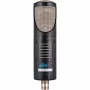 Студійний ламповий мікрофон sE Electronics RNT