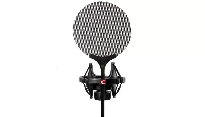 Студійний мікрофон sE Electronics 2200, фото № 6