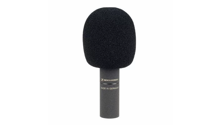 Инструментальный микрофон SENNHEISER MKH 8020, фото № 5
