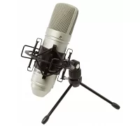 Студійний мікрофон Tascam TM-80