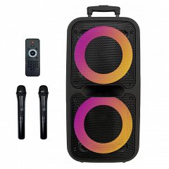 Автономная акустическая система TMG ZXX-7575 (2MIC+MP3+USB+BT)