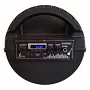 Автономна акустична система TMG QS-611 (1MIC+MP3+USB+FM+BT)