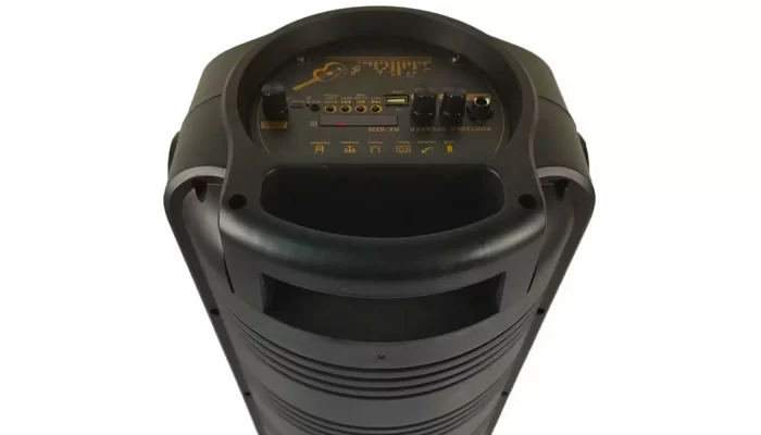 Автономная акустическая система TMG ORIGINAL RX-8228 (1MIC+MP3+USB+FM+BT), фото № 4