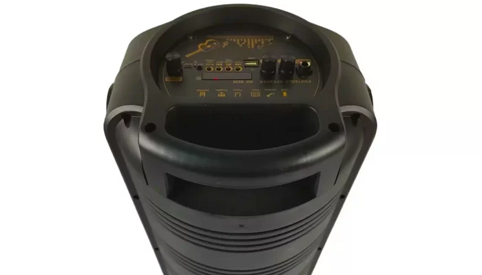 Автономна акустична система TMG RX-8228 (1MIC+MP3+USB+FM+BT), фото № 4