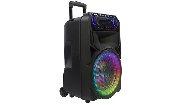Автономна акустична система TMG SM012 (2MIC+USB+MP3+FM+BT), фото № 3