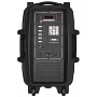 Автономна акустична система BIG350STORM USB/MP3/FM/BT/TWS + 2pcs VHF mic