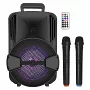 Автономна акустична система BIG100BLUE SKY USB/MP3/FM/BT/TWS + 2pcs VHF mic