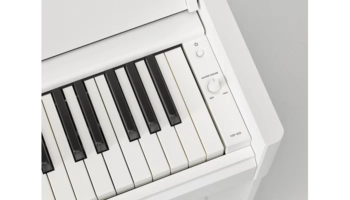 Цифровое пианино YAMAHA ARIUS YDP-S55 (White), фото № 6