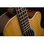 Електроакустична бас-гітара Washburn AB5