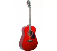 Акустическая гитара Washburn OG2TR