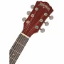 Акустическая гитара Washburn OG2TR